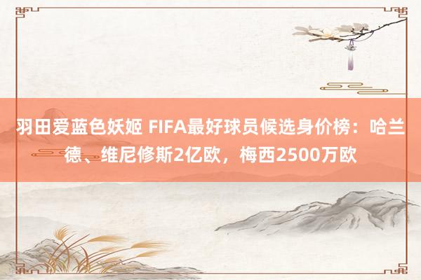 羽田爱蓝色妖姬 FIFA最好球员候选身价榜：哈兰德、维尼修斯2亿欧，梅西2500万欧