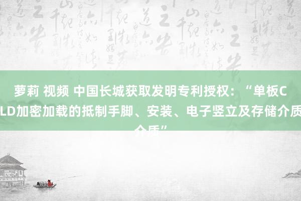 萝莉 视频 中国长城获取发明专利授权：“单板CPLD加密加载的抵制手脚、安装、电子竖立及存储介质”