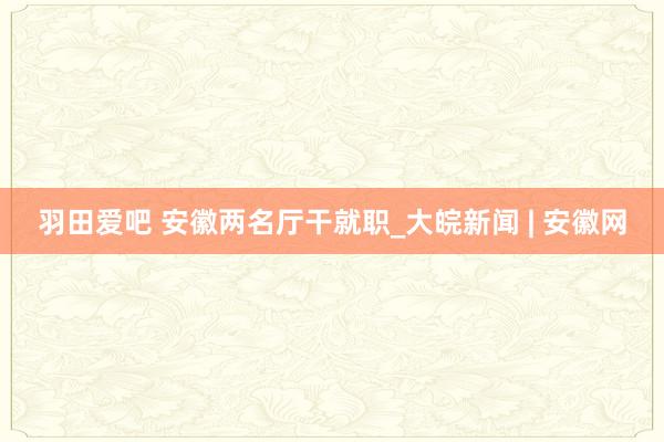 羽田爱吧 安徽两名厅干就职_大皖新闻 | 安徽网