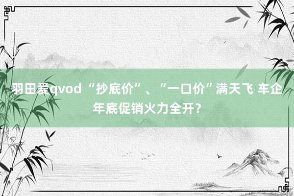 羽田爱qvod “抄底价”、“一口价”满天飞 车企年底促销火力全开？