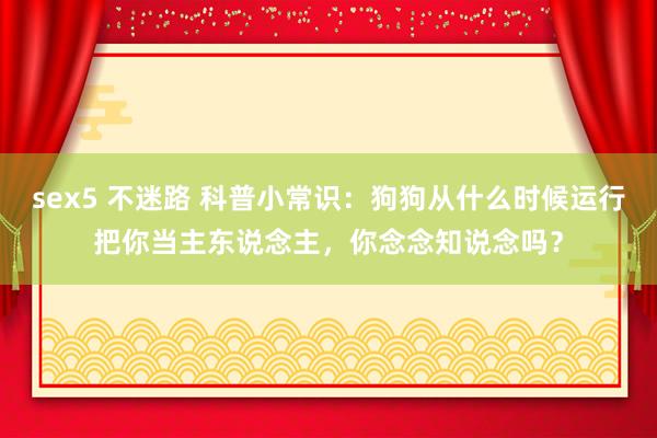 sex5 不迷路 科普小常识：狗狗从什么时候运行把你当主东说念主，你念念知说念吗？