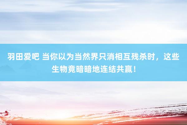 羽田爱吧 当你以为当然界只消相互残杀时，这些生物竟暗暗地连结共赢！