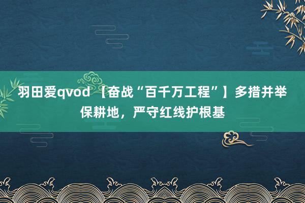 羽田爱qvod 【奋战“百千万工程”】多措并举保耕地，严守红线护根基