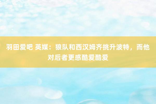 羽田爱吧 英媒：狼队和西汉姆齐挑升波特，而他对后者更感酷爱酷爱