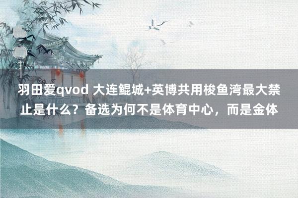 羽田爱qvod 大连鲲城+英博共用梭鱼湾最大禁止是什么？备选为何不是体育中心，而是金体