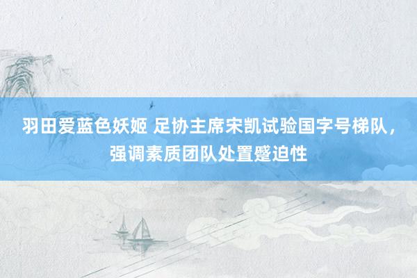 羽田爱蓝色妖姬 足协主席宋凯试验国字号梯队，强调素质团队处置蹙迫性