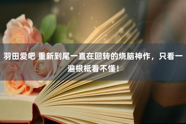 羽田爱吧 重新到尾一直在回转的烧脑神作，只看一遍根柢看不懂！