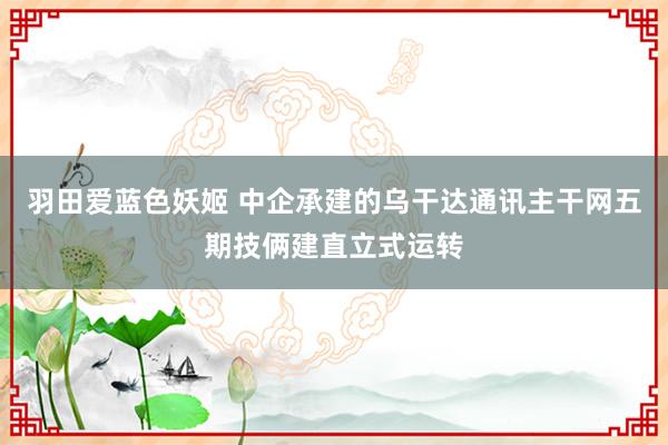 羽田爱蓝色妖姬 中企承建的乌干达通讯主干网五期技俩建直立式运转