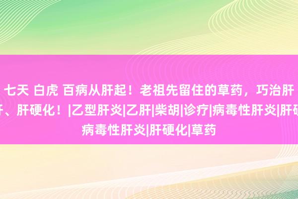 七天 白虎 百病从肝起！老祖先留住的草药，巧治肝炎、乙肝、肝硬化！|乙型肝炎|乙肝|柴胡|诊疗|病毒性肝炎|肝硬化|草药