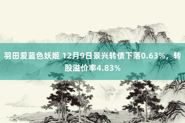 羽田爱蓝色妖姬 12月9日景兴转债下落0.63%，转股溢价率4.83%