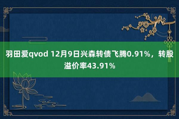 羽田爱qvod 12月9日兴森转债飞腾0.91%，转股溢价率43.91%