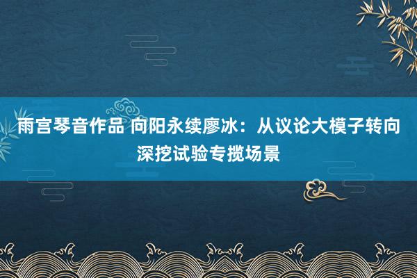 雨宫琴音作品 向阳永续廖冰：从议论大模子转向深挖试验专揽场景