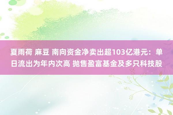 夏雨荷 麻豆 南向资金净卖出超103亿港元：单日流出为年内次高 抛售盈富基金及多只科技股