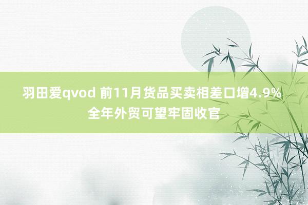 羽田爱qvod 前11月货品买卖相差口增4.9% 全年外贸可望牢固收官