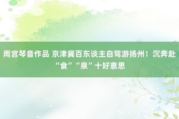 雨宫琴音作品 京津冀百东谈主自驾游扬州！沉奔赴“食”“泉”十好意思