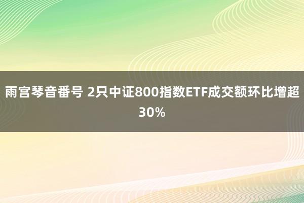 雨宫琴音番号 2只中证800指数ETF成交额环比增超30%