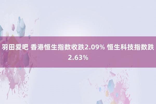 羽田爱吧 香港恒生指数收跌2.09% 恒生科技指数跌2.63%