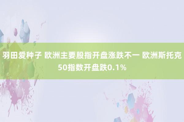 羽田爱种子 欧洲主要股指开盘涨跌不一 欧洲斯托克50指数开盘跌0.1%