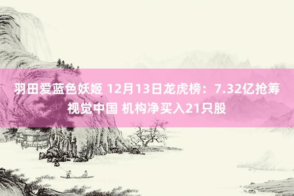 羽田爱蓝色妖姬 12月13日龙虎榜：7.32亿抢筹视觉中国 机构净买入21只股