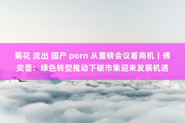 菊花 流出 国产 porn 从重磅会议看商机丨傅奕蕾：绿色转型推动下碳市集迎来发展机遇