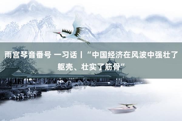 雨宫琴音番号 一习话丨“中国经济在风波中强壮了躯壳、壮实了筋骨”