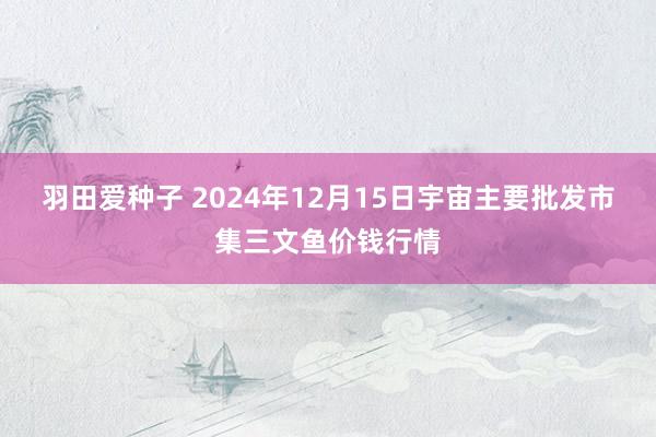 羽田爱种子 2024年12月15日宇宙主要批发市集三文鱼价钱行情