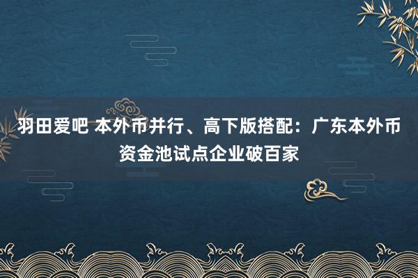 羽田爱吧 本外币并行、高下版搭配：广东本外币资金池试点企业破百家