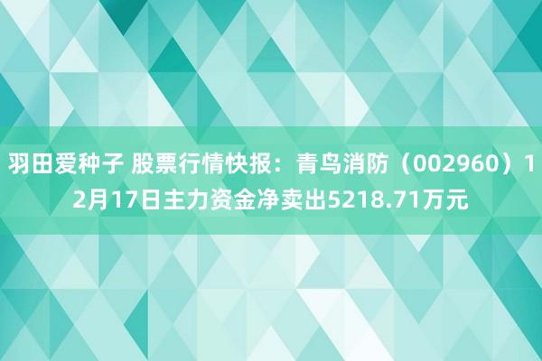 羽田爱种子 股票行情快报：青鸟消防（002960）12月17日主力资金净卖出5218.71万元