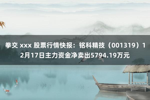 拳交 xxx 股票行情快报：铭科精技（001319）12月17日主力资金净卖出5794.19万元