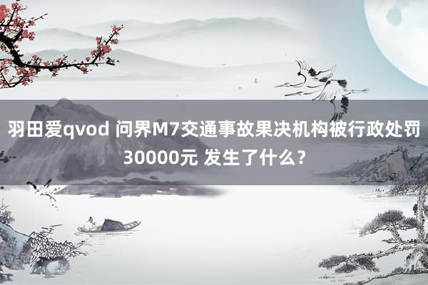 羽田爱qvod 问界M7交通事故果决机构被行政处罚30000元 发生了什么？