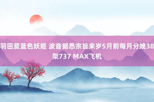 羽田爱蓝色妖姬 波音据悉宗旨来岁5月前每月分娩38架737 MAX飞机