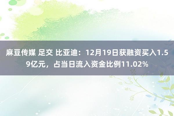 麻豆传媒 足交 比亚迪：12月19日获融资买入1.59亿元，占当日流入资金比例11.02%