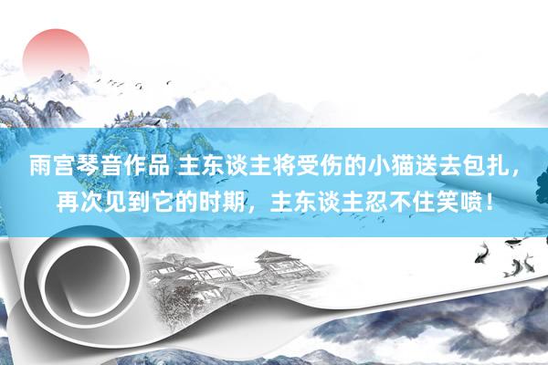 雨宫琴音作品 主东谈主将受伤的小猫送去包扎，再次见到它的时期，主东谈主忍不住笑喷！