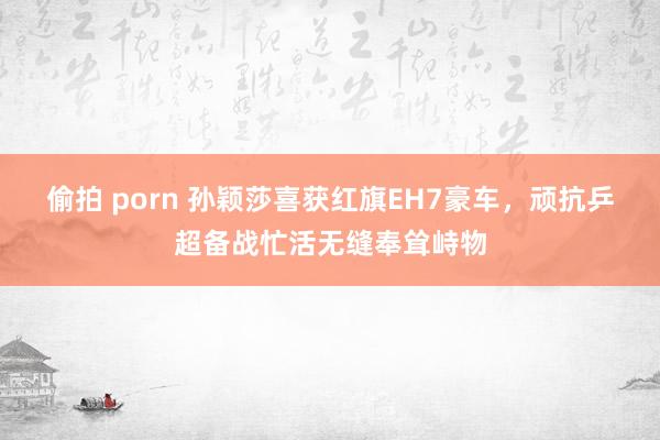 偷拍 porn 孙颖莎喜获红旗EH7豪车，顽抗乒超备战忙活无缝奉耸峙物