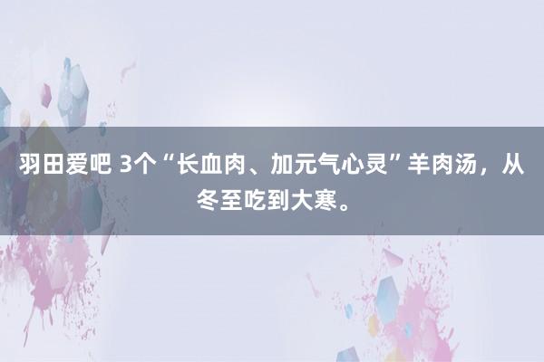 羽田爱吧 3个“长血肉、加元气心灵”羊肉汤，从冬至吃到大寒。