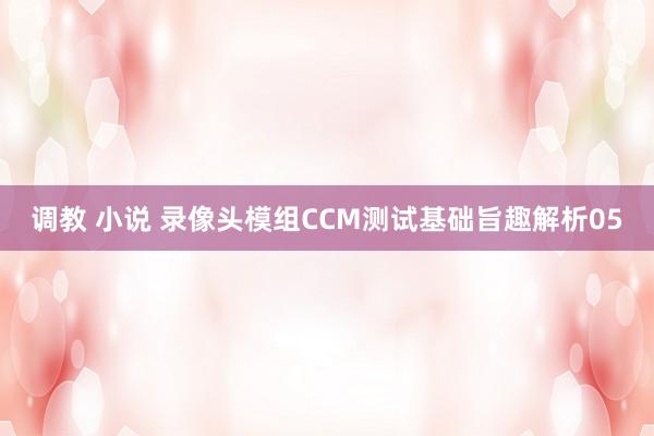 调教 小说 录像头模组CCM测试基础旨趣解析05