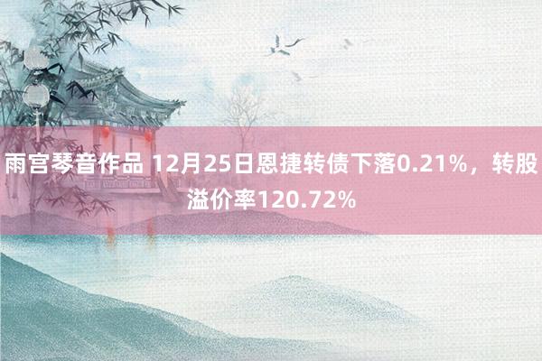 雨宫琴音作品 12月25日恩捷转债下落0.21%，转股溢价率120.72%