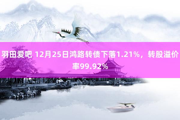 羽田爱吧 12月25日鸿路转债下落1.21%，转股溢价率99.92%