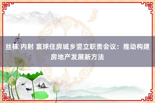 丝袜 内射 寰球住房城乡竖立职责会议：推动构建房地产发展新方法