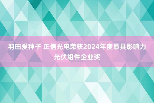 羽田爱种子 正信光电荣获2024年度最具影响力光伏组件企业奖