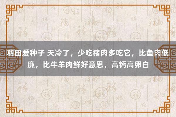 羽田爱种子 天冷了，少吃猪肉多吃它，比鱼肉低廉，比牛羊肉鲜好意思，高钙高卵白