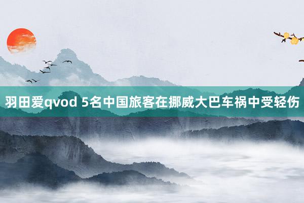 羽田爱qvod 5名中国旅客在挪威大巴车祸中受轻伤