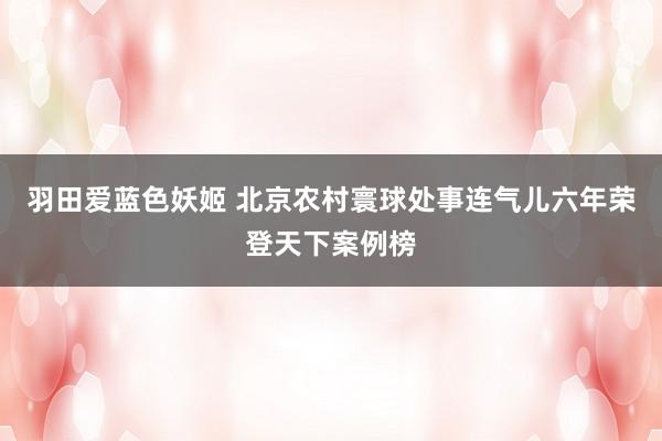 羽田爱蓝色妖姬 北京农村寰球处事连气儿六年荣登天下案例榜