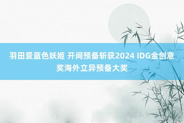 羽田爱蓝色妖姬 开间预备斩获2024 IDG金创意奖海外立异预备大奖