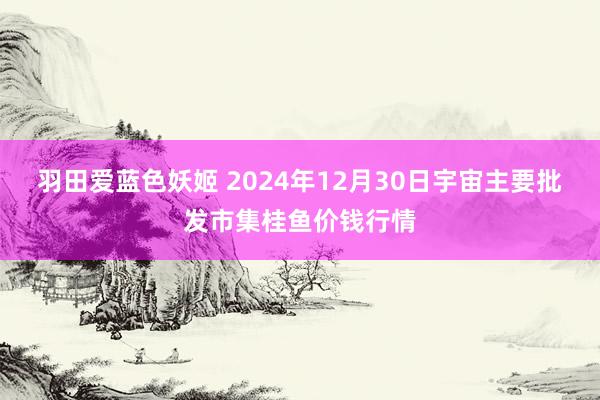 羽田爱蓝色妖姬 2024年12月30日宇宙主要批发市集桂鱼价钱行情