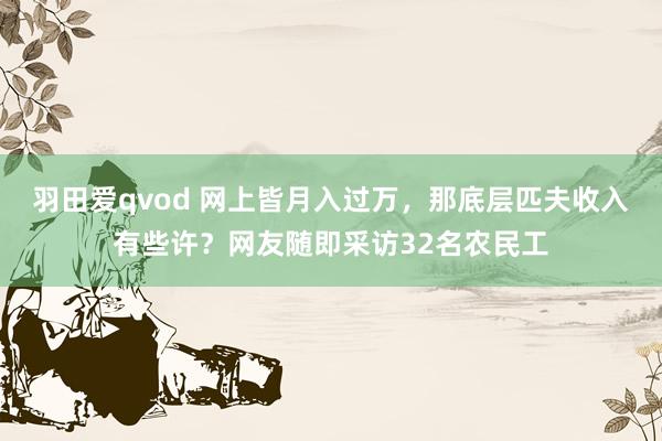 羽田爱qvod 网上皆月入过万，那底层匹夫收入有些许？网友随即采访32名农民工