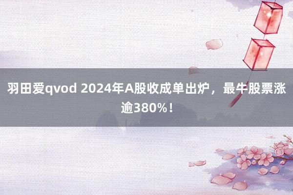 羽田爱qvod 2024年A股收成单出炉，最牛股票涨逾380%！