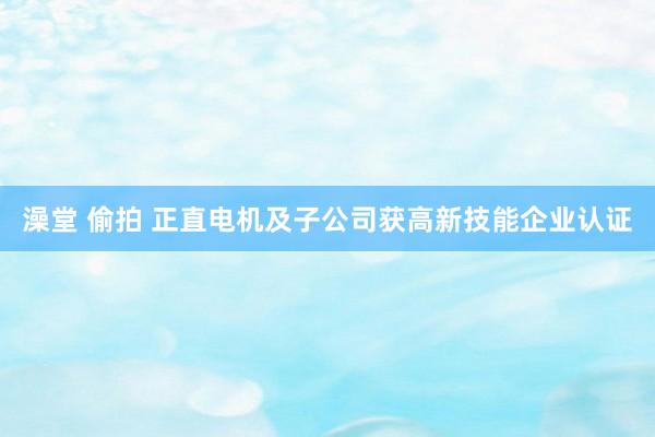 澡堂 偷拍 正直电机及子公司获高新技能企业认证