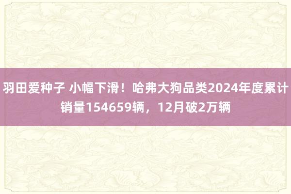 羽田爱种子 小幅下滑！哈弗大狗品类2024年度累计销量154659辆，12月破2万辆