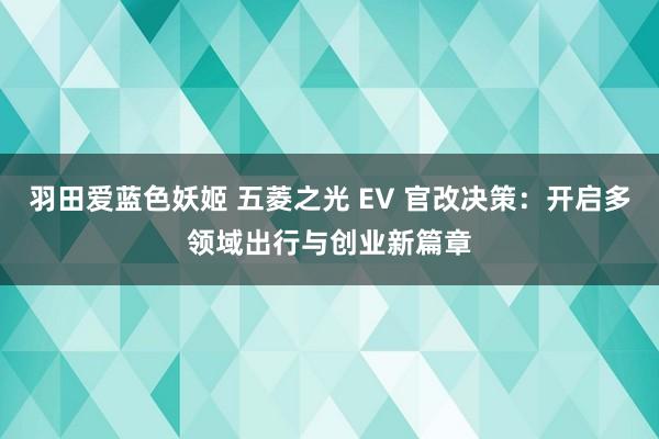 羽田爱蓝色妖姬 五菱之光 EV 官改决策：开启多领域出行与创业新篇章